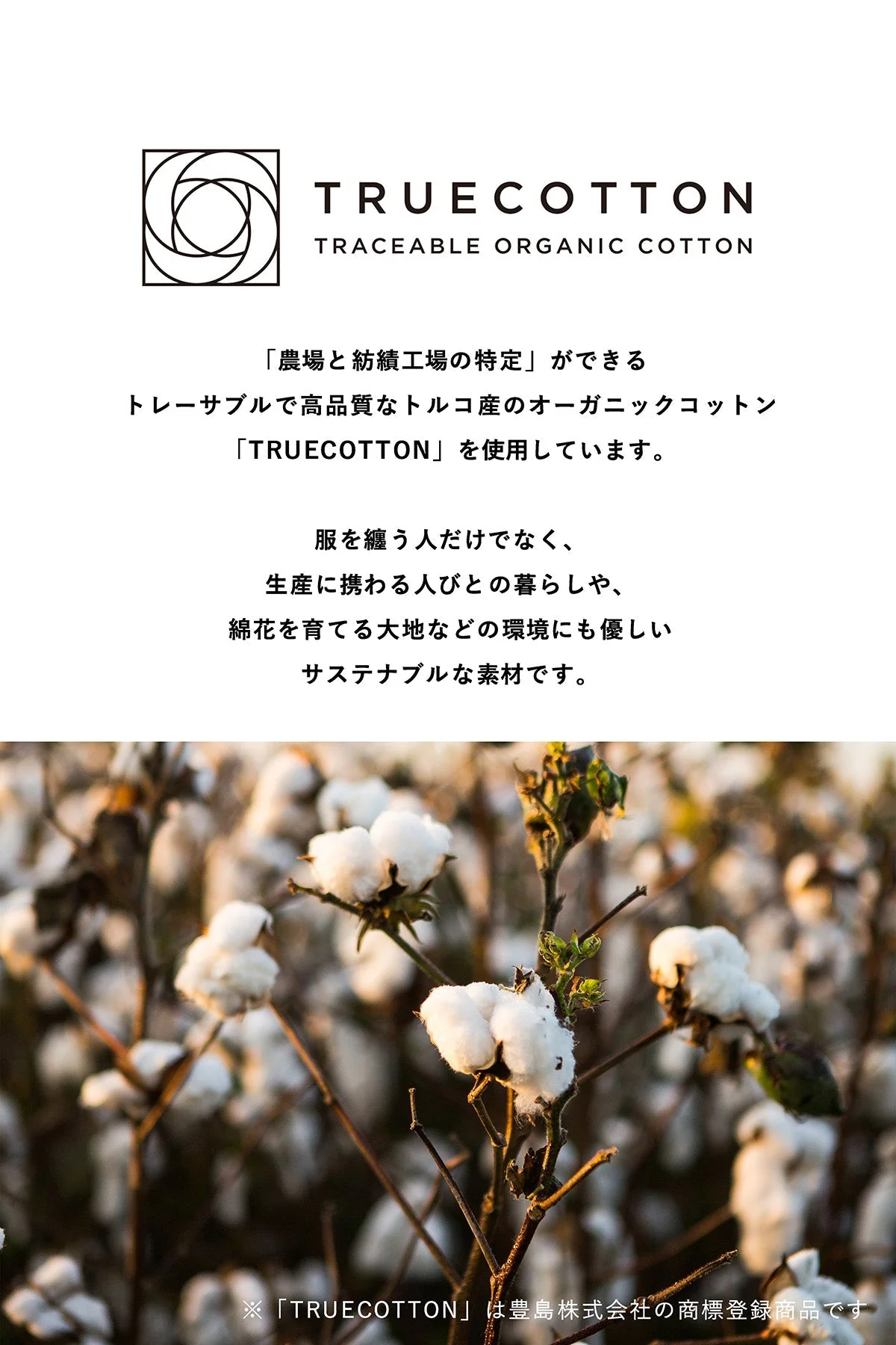 『VOGUE』ロゴ トゥルーコットン タンクトップ グレー - Image 10